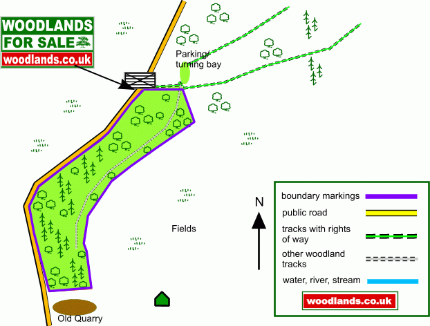 Coed Lan-Martin map