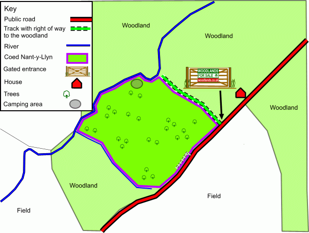 Coed Nant-y-Llyn map