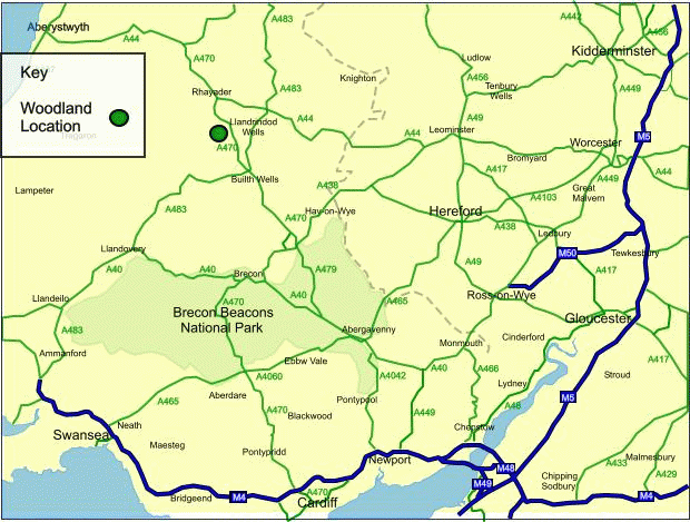 Coed Nefal map