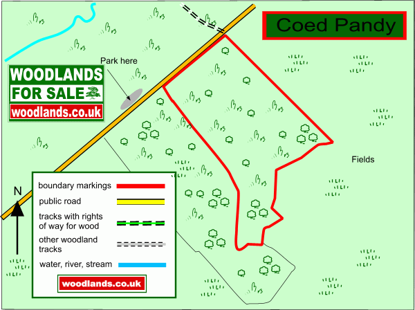 Coed Pandy - SOLD map