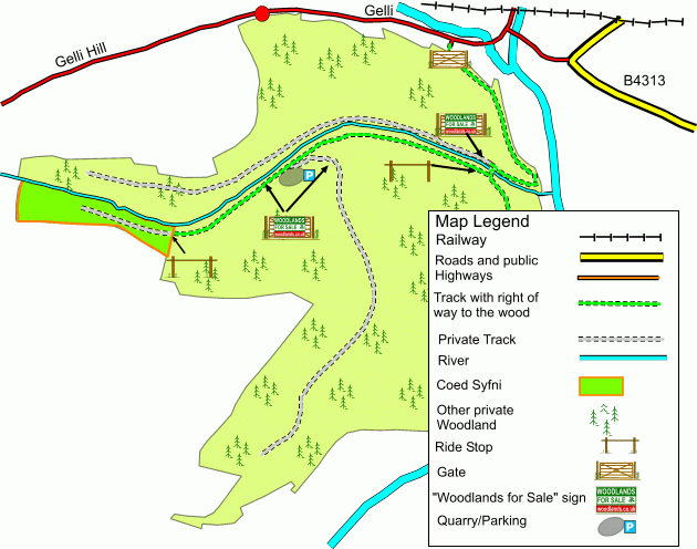 Coed Syfni - SOLD map