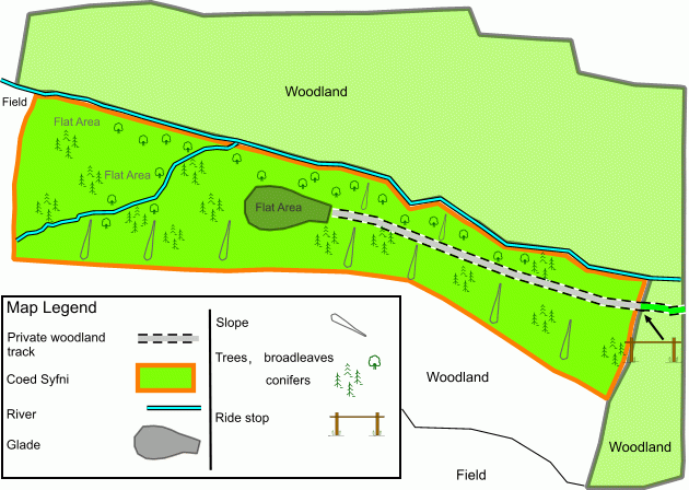 Coed Syfni - SOLD map