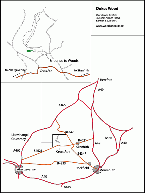 Click to view a full-size version Dukes Wood - SOLD map