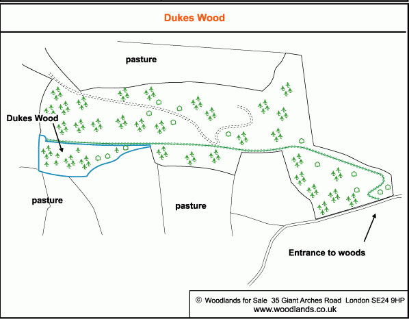Dukes Wood - SOLD map