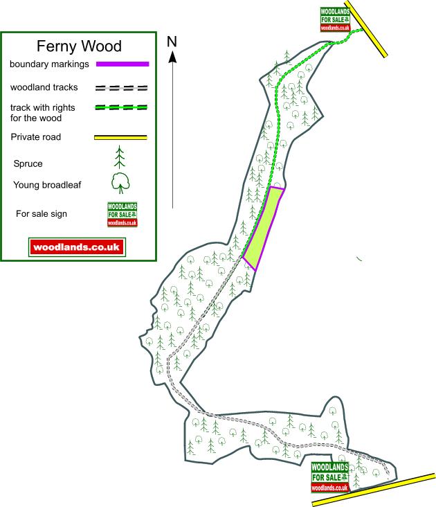 Ferny Wood map