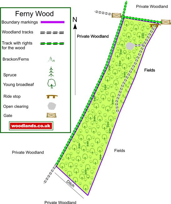 Ferny Wood map