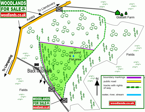 Hen Allt - Old Wood - SOLD map