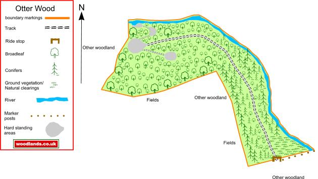 Otter Wood map