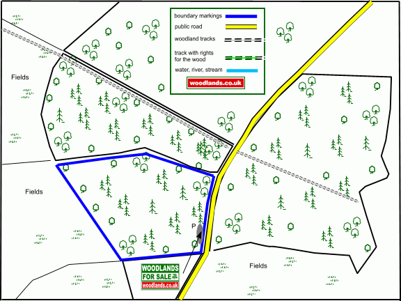 Tal Coed  - Hill Brow Wood - SOLD map
