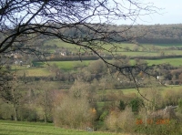 Avon View Wood photo 3