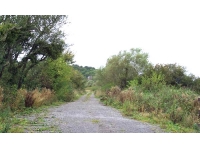 Axe Meadow Paddock - SOLD photo 4