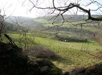 Bath Valley Wood photo 3