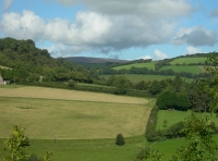 Beacon Wood