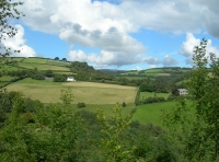 Blackmoor Wood - SOLD