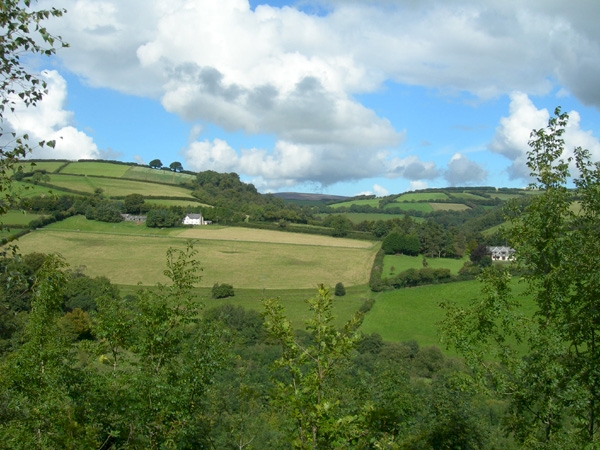 Blackmoor Wood - SOLD