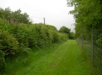 Entrance track