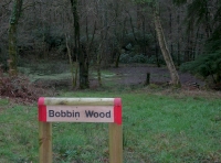 Bobbin Wood and pond