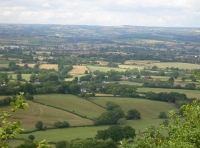 Buckland Wood - SOLD