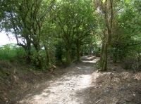 Woodland track to the entrance of Buckland Wood