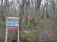 Bunkers Wood - SOLD