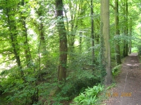 Byron Wood - SOLD