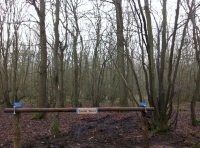 Castle Wood - SOLD
