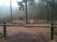 Cerne Wood - SOLD