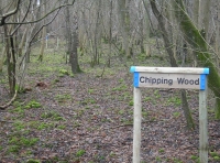 Chipping Wood - SOLD