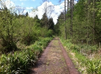 The track to the entrance