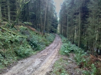 Access track