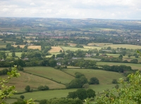Deane Vale Wood