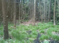 Rich wildlife habitat