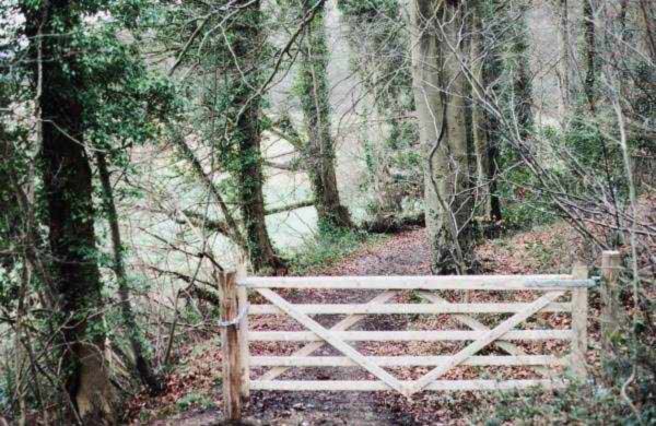 Dursley Wood - SOLD