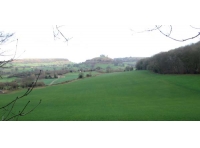 Dursley Wood photo 11