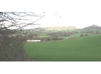 Dursley Wood photo 12
