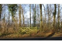 Dursley Wood photo 4