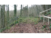 Dursley Wood photo 6