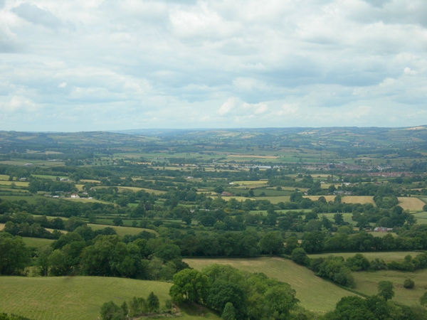 Emperors Wood