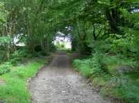 The newly upgraded access track