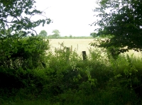 Open farmland borders Emperors Wood