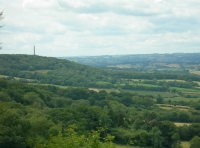 The Wellington Monument on the skyline