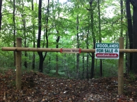 Ermine Wood - SOLD
