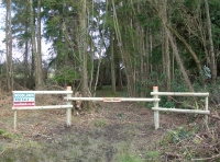 Fosse Wood