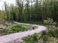 A footpath within the wood