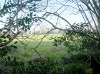 Open countryside at the boundary of Fosse Wood