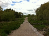 Access to the wood suitable for a car.