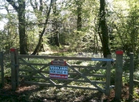 Froe Wood - SOLD