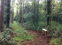 Goshawk Wood - SOLD