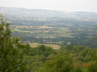 Hawthorne Wood