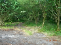 parking for Hawthorne Wood and track onward